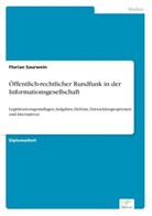 Florian Saurwein - Öffentlich-rechtlicher Rundfunk in der Informationsgesellschaft