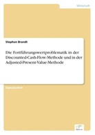 Stephan Brandt - Die Fortführungswertproblematik in der Discounted-Cash-Flow-Methode und in der Adjusted-Present-Value-Methode