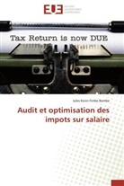 Bombe-j, Jules Kevin Fimbe Bombe - Audit et optimisation des impots