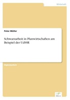 Peter Müller - Schwarzarbeit in Planwirtschaften am Beispiel der UdSSR
