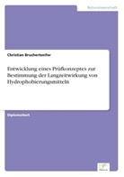 Christian Bruchertseifer - Entwicklung eines Prüfkonzeptes zur Bestimmung der Langzeitwirkung von Hydrophobierungsmitteln
