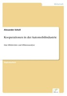 Alexander Scholl - Kooperationen in der Automobilindustrie