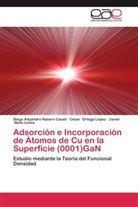 Javier Nieto Lenes, César Ortega López, Diego Alejandr Rasero Causil, Diego Alejandro Rasero Causil - Adsorción e Incorporación de Átomos de Cu en la Superficie (0001)GaN