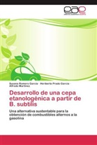 Mart, Alfredo Martínez, Heribert Prado García, Heriberto Prado García, Susan Romero García, Susana Romero García - Desarrollo de una cepa etanologénica a partir de B. subtilis