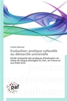 Soodeh Eghtesad, Eghtesad-s - Evaluation: pratique culturelle