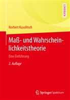 Norbert Kusolitsch - Maß-  und Wahrscheinlichkeitstheorie