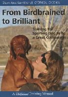 Dawn Antoniak-Mitchell - From Birdbrained to Brilliant