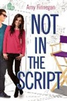 Amy Finnegan - Not in the Script