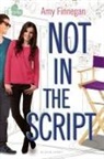 Amy Finnegan, Finnegan Amy - Not in the Script