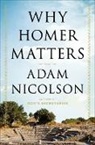 Adam Nicolson - Why Homer Matters