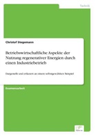 Christof Stegemann - Betriebswirtschaftliche Aspekte der Nutzung regenerativer Energien durch einen Industriebetrieb