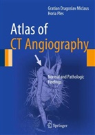 Gratian Dragosla Miclaus, Gratian Dragoslav Miclaus, Horia Ples - Atlas of CT Angiography