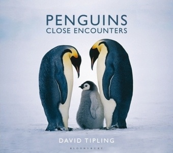 David Tipling, Tipling David - Penguins: Close Encounters