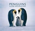 David Tipling, Tipling David - Penguins: Close Encounters