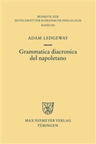 Adam Ledgeway - Grammatica diacronica del napoletano
