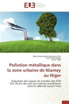 Tankar Dan-badjo, Tankari Dan-badjo, Guero Yadji, Djib Almoustapha Boubacar, Djibo Almoustapha Boubacar, Djibo Almoustapha Boubacar - POLLUTION METALLIQUE DANS LA ZONE URBAINE DE NIAMEY AU NIGER