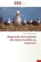 Leste Nyemgah Wo-ndong, Wo-ndong-l - Diagnostic de la gestion des