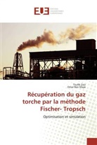 Omar Ben Maya, Toufi Zaiz, Toufik Zaiz - Recuperation du gaz torche par la