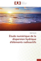 Riadh Souissi, Souissi-r - Etude numerique de la dispersion
