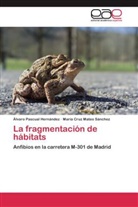 María Cru Mateo Sánchez, María Cruz Mateo Sánchez, Álvar Pascual Hernández, Álvaro Pascual Hernández - La fragmentación de hábitats