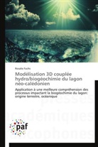 Rosalie Fuchs, Fuchs-r - Modelisation 3d couplee hydro