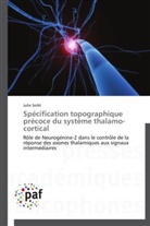 Julie Seibt, Seibt-j - Specification topographique
