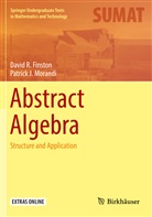 David Finston, David R Finston, David R. Finston, Patrick Morandi, Patrick J Morandi, Patrick J. Morandi - Abstract Algebra