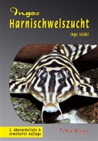 Ingo Seidel - Ingos Harnischwelszucht