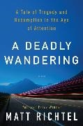 Matt Richtel - Deadly Wandering - A Tale of Tragedy and Redemption in the Age of Attention