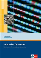 Lambacher-Schweizer, Mathematik für berufliche Gymnasien: Lambacher Schweizer Mathematik berufliches Gymnasium Trainingsheft Eingangsklasse