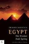 Dr. Wafik Moustafa, Wafik Moustafa, Wafik Mustafa, Dr Moustafa Wafik - Egypt