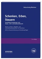 Raymond Halaczinsky - Schenken, Erben, Steuern