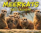 Llc (COR) Andrews Mcmeel Publishing, Andrews McMeel Publishing LLC, Andrews Mcmeel Publishing, Andrews McMeel Publishing LLC - Meerkats 2015 Calendar