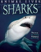 Sally Morgan - Sharks