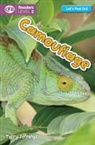 Terry Jennings - Camouflage