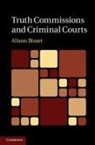 Alison Bisset, Alison (University of Reading) Bisset - Truth Commissions and Criminal Courts