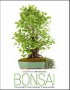 Anna Maria Botticelli, Anna Maria Petroni (Photographer) Botticelli, Fabio Petroni - Bonsai