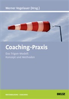 Werner Vogelauer, Werne Vogelauer, Werner Vogelauer - Coaching-Praxis