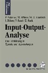 Wolfgang Böhme, Hans U. Brautzsch, Peter Fleissner - Input-Output-Analyse