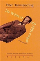 Peter Hammerschlag, Friedrich Achleitner, Monika Kiegler-Griensteidl - Die Wüste ist aus gelbem Mehl