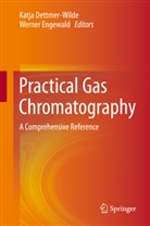 Katja Dettmer, Katj Dettmer-Wilde, Katja Dettmer-Wilde, Engewald, Engewald, Werner Engewald - Practical Gas Chromatography