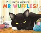David Wiesner, Wiesner David - Mr Wuffles !