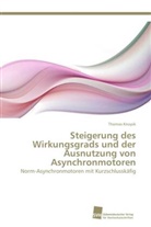 Thomas Knopik - Steigerung des Wirkungsgrads und der Ausnutzung von Asynchronmotoren