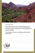 Anne Chaponnière, Chaponniere-a - Fonctionnement hydrologique d un