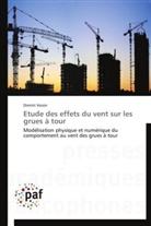 Dimitri Voisin, Voisin-d - Etude des effets du vent sur les