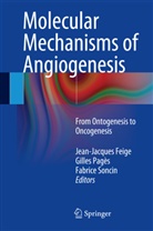 Jean-Jacques Feige, Gille Pagès, Gilles Pagès, Fabrice Soncin - Molecular Mechanisms of Angiogenesis