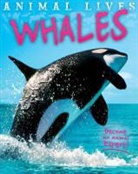 Sally Morgan - Whales