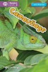 Terry Jennings - Camouflage