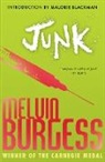 Melvin Burgess - Junk