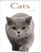 Capra - Cats